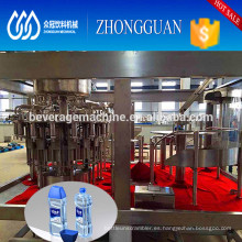 small bottle pomegranate juice filling machine